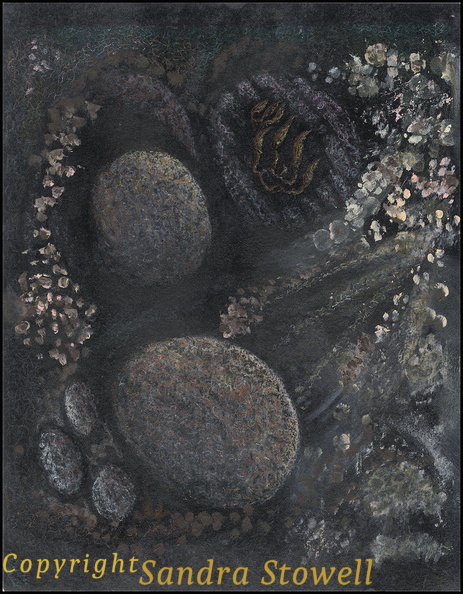 Eggs-on-Black.jpg