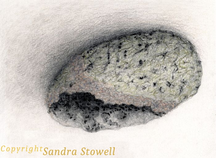 This drawing is inspired by a specific stone with black crystals, but became something more. Drawing SOLD to Maureen Piper, 2/2024. Rock-Bowl-3-D.jpg