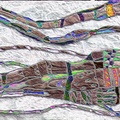 Mental-Map-Strands-1-foiled-2