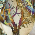 OstrichEgg-foil1contours
