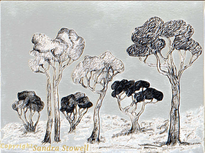 Six-Trees-wGround-simple-foil