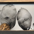 Treasure-Potatoes