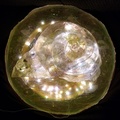 Moonsnail-light-mounted