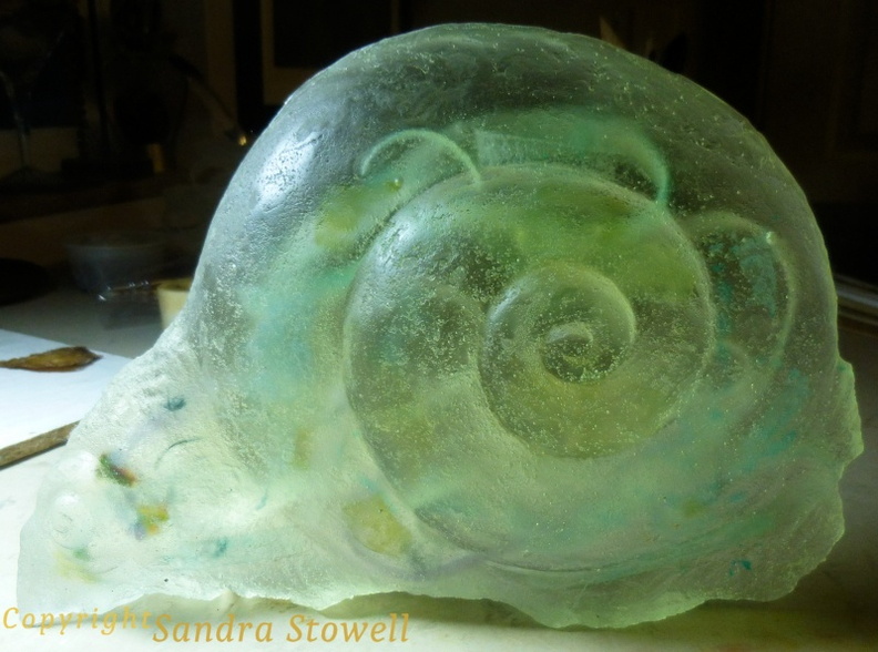 Clear-Moon-Snail-with.jpg