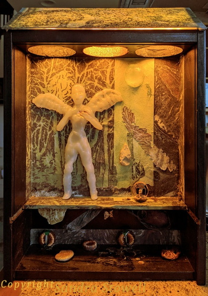 Forest-Angel-Box-wLights.jpg