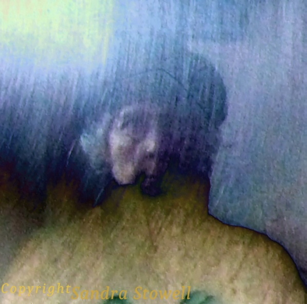 Brushed-metal-selfie-foiled.jpg