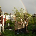 Rainbow-on-Wheelie-Man