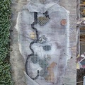 Rock-Mummy-in-frost