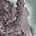 HalfPavedGrayFoiled4