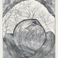 TwoBirds-in-half-nest-Variation-6