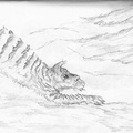 Tiger-Tiger