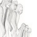Watching-Figures-in-work