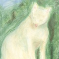 White-Cat-II-scan