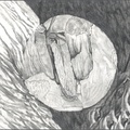 After-seg-circle