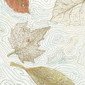 Floating-leaves-rescan