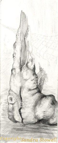 Gaze-Even-Here-I.jpg