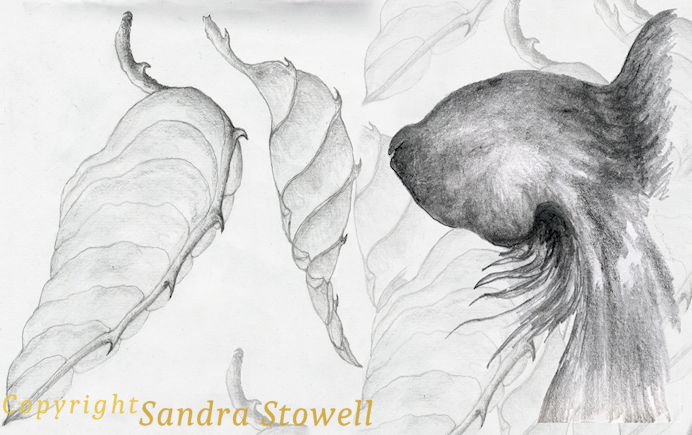 If-Leaves-could-talk.jpg