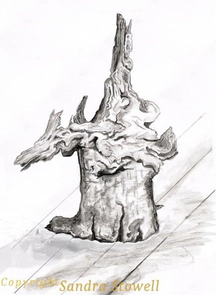 Mounted-Bark-adj.jpg