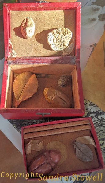 RedBoxofBeetlesInteriorAll.jpg