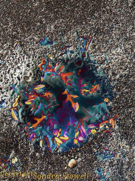 BestFallLeafPotholeFoil.jpg