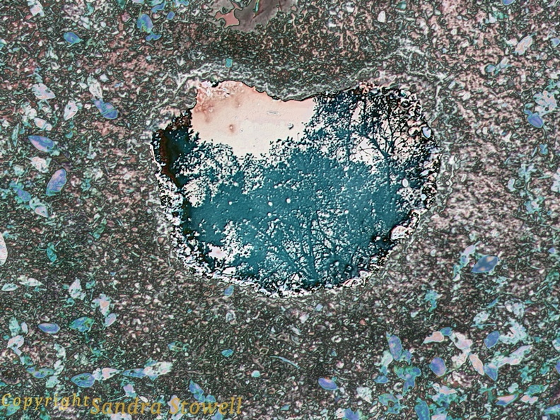 Heart_or_Kidney Pothole Foil.jpg