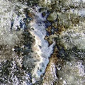 SnowFoiledPotholecrop