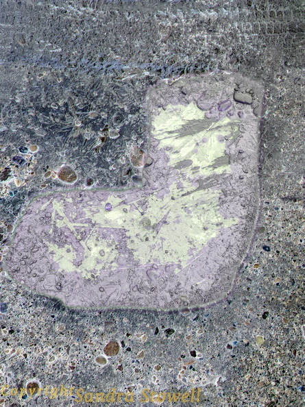 Foot Cast Pothole Frozen Shards Pale.jpg