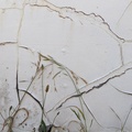 SeedswPeelingPaint