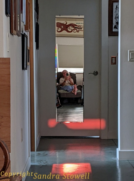 PhotoPlaySelfie.jpg