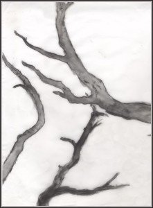 Translucent sketch branches
