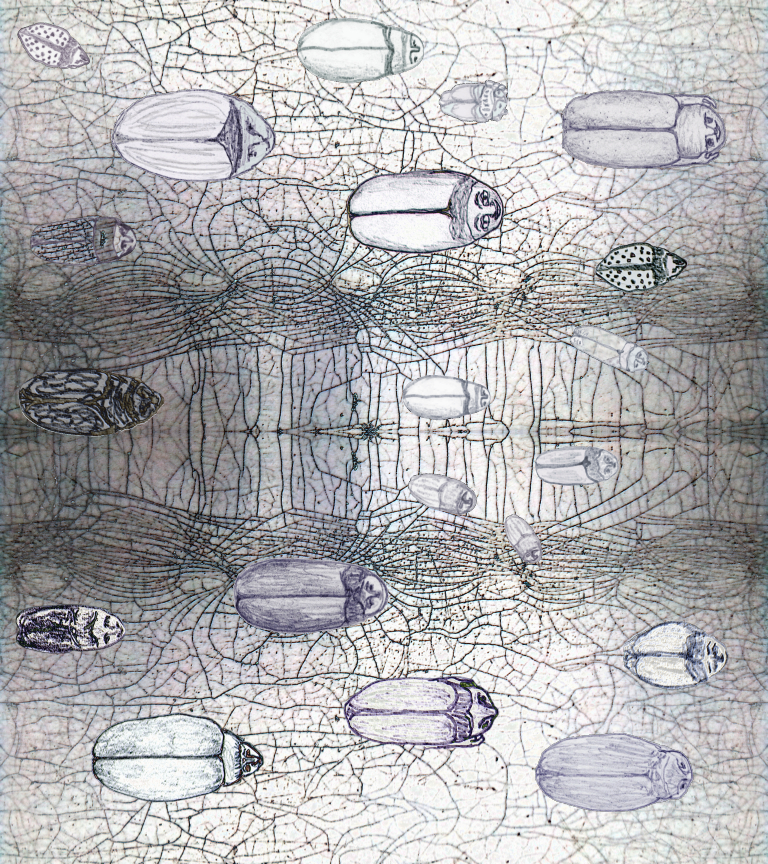Drawing of beetles on pattern