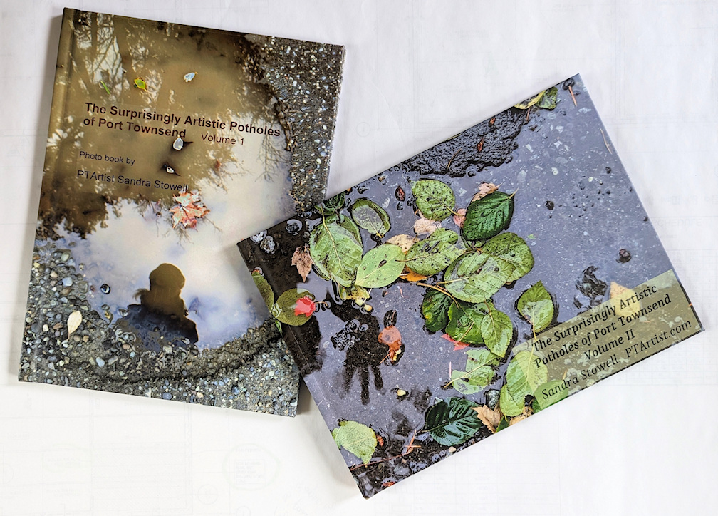 Photo of the photo books: The Surprisingly Artistic Potholes of Port Townsend Vol II