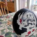 Ostrich-Egg-Released