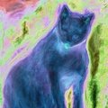 White-Cat-II-scan-dark-foil