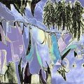 Clothesline-D3-erodedfoilwith-more