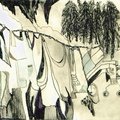 Clothesline-D3-foil