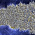 Grasses-III-neg-foiled (2357 visits) Grasses-III-neg-foiled