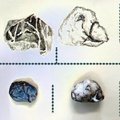 Horse-Puffin-with-Rocks-more-more-foil