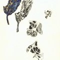 Leaf-and-Crab-1-foil-2
