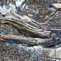 Driftwood&amp;BrickFoil