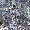 BirdsinNestCappysTrailsFoil
