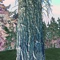 IviedTreeFoil2