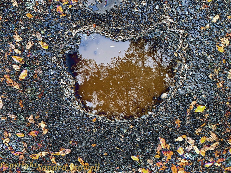 Heart_or_KidneyPuddleFoil.jpg