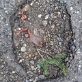 ColorfulPothole