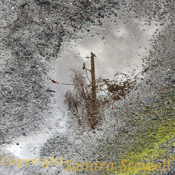 The Surprisingly Artistic Potholes of Port Townsend