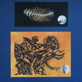 LinoPrint w Owl Feather Collage Prototype