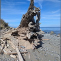 ExcellentDriftwoodBlueSky