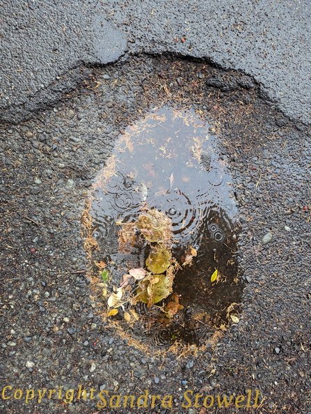EyesWideOpenPothole.jpg