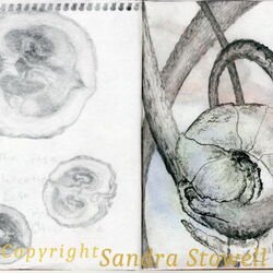 Sketchbook Project 2012