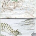 03 Tiger meets Mouse